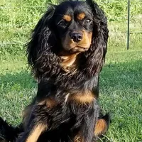 processed/834cba88-ac64-4906-a60f-631aa6944446/facility/f1de622c-5580-4f97-8e14-cfdbdfbb39ae