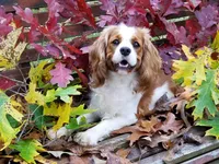 processed/834cba88-ac64-4906-a60f-631aa6944446/facility/f87c62fe-7c97-4934-ae97-697afbc9c13b