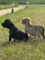 processed/834d7b6a-07c5-4ea7-a44d-24e872e37a47/listing/2f519b52-e9d2-47ac-840c-ae1537035a0d/df126189-1bc7-4994-a8e4-1bae7fd153a1