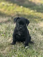 processed/834d7b6a-07c5-4ea7-a44d-24e872e37a47/listing/2f519b52-e9d2-47ac-840c-ae1537035a0d/e3224301-5c1b-4130-b5e9-31575e003f21