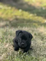 processed/834d7b6a-07c5-4ea7-a44d-24e872e37a47/listing/2f519b52-e9d2-47ac-840c-ae1537035a0d/f60d59f1-fed4-4bb8-9e93-151f4c17928e