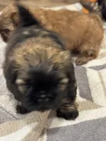 processed/834e2c3d-caae-4c3e-b419-f6ec4497ca94/listing/f7d4da6d-5bf6-431d-9d6e-0eca2cf67432/08fc71be-fbd8-4ff5-9420-6f88fbb87940