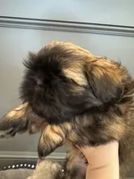 processed/834e2c3d-caae-4c3e-b419-f6ec4497ca94/listing/f7d4da6d-5bf6-431d-9d6e-0eca2cf67432/16f89ba7-ac7b-42f4-82c4-d1eea0189af4