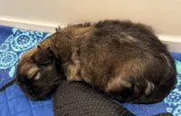 processed/834e2c3d-caae-4c3e-b419-f6ec4497ca94/listing/f7d4da6d-5bf6-431d-9d6e-0eca2cf67432/4ac18313-6fbb-411f-a114-7a96ae9d4f86