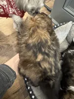 processed/834e2c3d-caae-4c3e-b419-f6ec4497ca94/listing/f7d4da6d-5bf6-431d-9d6e-0eca2cf67432/7470635c-4b41-404c-940b-55544dc7f38b