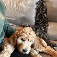 processed/83504196-b840-475a-9d9b-e9b1c9ab9089/facility/42f9ee29-76a9-43ad-ad83-0d298fafdae8