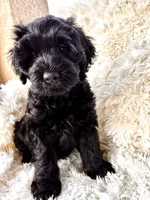 processed/83504196-b840-475a-9d9b-e9b1c9ab9089/listing/331b4296-de6b-433f-ae84-4d35229618ed/1fd8f1a3-0ab2-4888-b841-5de556affdcd