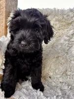 processed/83504196-b840-475a-9d9b-e9b1c9ab9089/listing/331b4296-de6b-433f-ae84-4d35229618ed/67faad98-58a0-416d-a1c8-7870aec8172a