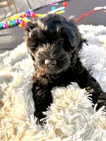 processed/83504196-b840-475a-9d9b-e9b1c9ab9089/listing/331b4296-de6b-433f-ae84-4d35229618ed/81487244-ed45-4aa1-a2c7-1a603c8df99c