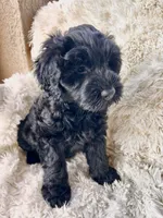 processed/83504196-b840-475a-9d9b-e9b1c9ab9089/listing/331b4296-de6b-433f-ae84-4d35229618ed/8eb23e88-b0eb-4fee-a1c3-cb7a51203980