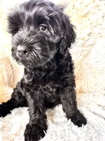 processed/83504196-b840-475a-9d9b-e9b1c9ab9089/listing/331b4296-de6b-433f-ae84-4d35229618ed/a10510c7-3fb8-4c19-95e0-3215a2515229