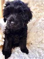 processed/83504196-b840-475a-9d9b-e9b1c9ab9089/listing/331b4296-de6b-433f-ae84-4d35229618ed/d0edccbe-60ee-43b4-8d7d-b662c7087629