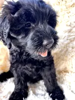 processed/83504196-b840-475a-9d9b-e9b1c9ab9089/listing/331b4296-de6b-433f-ae84-4d35229618ed/d4b3adc6-93d8-44a0-9910-82003d1cc74b