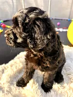 processed/83504196-b840-475a-9d9b-e9b1c9ab9089/listing/331b4296-de6b-433f-ae84-4d35229618ed/f0784c33-6cbd-4d27-835a-e126a5d8cf85