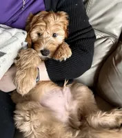 processed/83504196-b840-475a-9d9b-e9b1c9ab9089/listing/b6de261e-cf8d-4d5f-9794-afe2176818af/1b9e85ad-64c0-4e02-a083-c0ffdb4b27cc