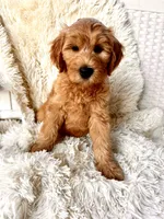 processed/83504196-b840-475a-9d9b-e9b1c9ab9089/listing/b6de261e-cf8d-4d5f-9794-afe2176818af/1dd97aa0-9478-4c9c-b72c-7cc199c359af