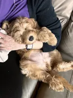 processed/83504196-b840-475a-9d9b-e9b1c9ab9089/listing/b6de261e-cf8d-4d5f-9794-afe2176818af/3c357137-45cb-4eff-87ef-d425dfbcf8cc