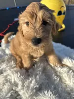 processed/83504196-b840-475a-9d9b-e9b1c9ab9089/listing/b6de261e-cf8d-4d5f-9794-afe2176818af/88e1b266-b7bb-49b4-af18-7f1bb5710b38