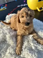 processed/83504196-b840-475a-9d9b-e9b1c9ab9089/listing/b6de261e-cf8d-4d5f-9794-afe2176818af/ba7f254d-0908-4399-a874-3f0080274329