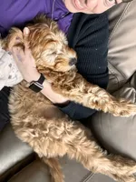 processed/83504196-b840-475a-9d9b-e9b1c9ab9089/listing/b6de261e-cf8d-4d5f-9794-afe2176818af/c660825d-c97f-47bc-9020-5ab7b0fabe07