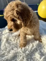 processed/83504196-b840-475a-9d9b-e9b1c9ab9089/listing/c631ca20-ddd3-489a-a116-bd69bd663e0a/19777134-02a0-49b3-9057-ac90d47b93ef