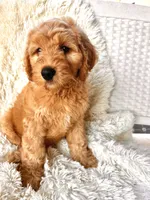 processed/83504196-b840-475a-9d9b-e9b1c9ab9089/listing/c631ca20-ddd3-489a-a116-bd69bd663e0a/53d2abaa-39f0-4489-a681-bd700899dee1