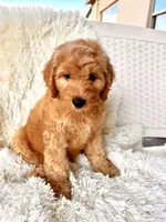 processed/83504196-b840-475a-9d9b-e9b1c9ab9089/listing/c631ca20-ddd3-489a-a116-bd69bd663e0a/617038e2-0b68-440f-a175-461be18c0603