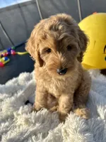 processed/83504196-b840-475a-9d9b-e9b1c9ab9089/listing/c631ca20-ddd3-489a-a116-bd69bd663e0a/bdf4c03e-6c11-4d67-a7c0-b61b86acb4ef