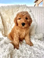 processed/83504196-b840-475a-9d9b-e9b1c9ab9089/listing/c631ca20-ddd3-489a-a116-bd69bd663e0a/c6284f81-13fd-4dd3-bed5-c7a861623a8d