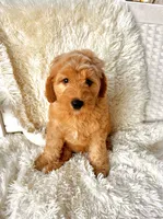 processed/83504196-b840-475a-9d9b-e9b1c9ab9089/listing/c631ca20-ddd3-489a-a116-bd69bd663e0a/e6bb3dbb-ab9d-43fa-becd-8a1496a593b1