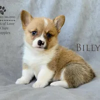 processed/835395fa-8dfb-4999-b92b-8dbe7839744f/facility/7e95f2f2-8616-418f-a77a-947f11a62850