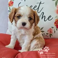 processed/835395fa-8dfb-4999-b92b-8dbe7839744f/facility/944d54e7-b751-40b2-8839-b50ca3b9a771