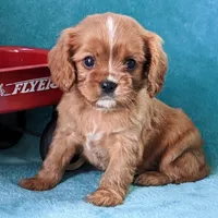 processed/835395fa-8dfb-4999-b92b-8dbe7839744f/facility/cd85a8bb-4c75-4d0d-b227-b5d8f779902e