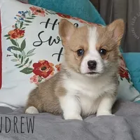 processed/835395fa-8dfb-4999-b92b-8dbe7839744f/facility/ce8250c2-0fea-461a-b60f-b77ecdf388ce