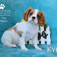 processed/835395fa-8dfb-4999-b92b-8dbe7839744f/facility/ead760e0-6e92-48ea-bfd6-ef1fb18c30f1