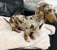 processed/835b3a4a-60c9-4931-814a-ce5fa74c19fe/facility/03fa5153-54f4-444e-b49e-97b7a2d94080