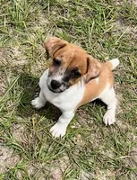 processed/835b3a4a-60c9-4931-814a-ce5fa74c19fe/facility/04a3749f-64f7-4bd0-b179-f7693e79aebe