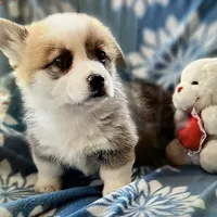 processed/835b3a4a-60c9-4931-814a-ce5fa74c19fe/facility/2ac6db37-15a1-4237-8824-5c5bcaeea72a