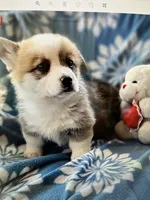 processed/835b3a4a-60c9-4931-814a-ce5fa74c19fe/facility/2ac6db37-15a1-4237-8824-5c5bcaeea72a