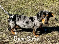 processed/835b3a4a-60c9-4931-814a-ce5fa74c19fe/facility/6866cf20-60ae-4498-8eeb-7b3f0145e0b8