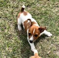 processed/835b3a4a-60c9-4931-814a-ce5fa74c19fe/facility/abff2701-c65c-4bb1-a6b7-9a7acce362ee