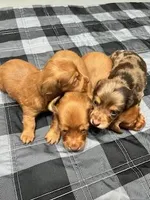 processed/835b3a4a-60c9-4931-814a-ce5fa74c19fe/facility/d8dfee7e-6e8a-48b4-ae9b-d700199d3192