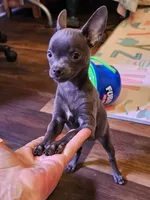 processed/835b3a4a-60c9-4931-814a-ce5fa74c19fe/listing/37b95fbc-24c5-406d-9832-8f03b697d27a/1f95b96b-03a7-4283-b0bc-73ed0a6f2034