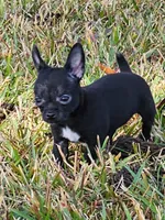 processed/835b3a4a-60c9-4931-814a-ce5fa74c19fe/listing/49b23166-5636-4f3a-9cdf-a94b65d452c4/3e3b61b5-ceaf-45f2-80cd-4ef1b1b15fcd