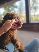 processed/835b3a4a-60c9-4931-814a-ce5fa74c19fe/listing/76d0faec-862d-4fef-a4ad-7592d2ed67a1/58aa5ab7-0a88-4b34-b6f1-1ae733872923