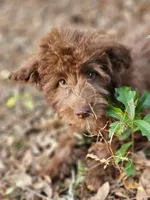 processed/835b3a4a-60c9-4931-814a-ce5fa74c19fe/listing/76d0faec-862d-4fef-a4ad-7592d2ed67a1/eca65683-5f49-4208-936f-1b681636941d