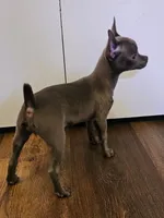 processed/835b3a4a-60c9-4931-814a-ce5fa74c19fe/listing/83b98264-9a77-4c90-b8d1-edf33df7d532/08600bc2-06d9-4ad3-b960-fad026c586c5