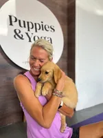 Madden, a female Golden Retriever for sale in Spring Hill, FL – 3 of 7