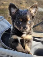 processed/835b3a4a-60c9-4931-814a-ce5fa74c19fe/listing/e9926ffd-8118-4e57-b02e-891a026df615/2e9ae741-5e5f-4582-a937-512f5b30f068