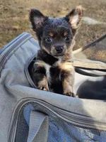 processed/835b3a4a-60c9-4931-814a-ce5fa74c19fe/listing/e9926ffd-8118-4e57-b02e-891a026df615/7d1c2de7-876f-40cc-b4ff-0107a44dbd53